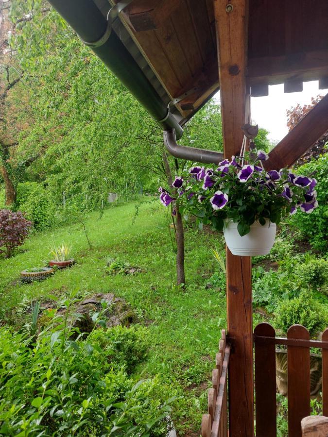Kuca Za Odmor Anamarija Villa Ogulin Eksteriør bilde